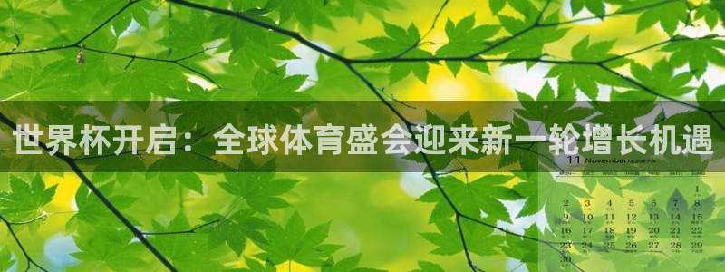 2026世界杯赛：世界杯开启：全球体育盛会迎来新一轮增长机遇