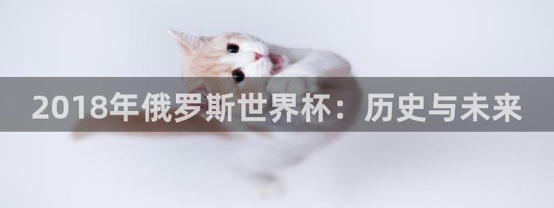 足球世界杯时间：2018年俄罗斯世界杯：历史与未来