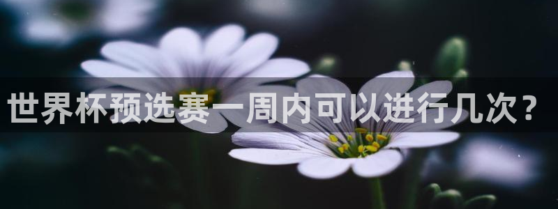 世界杯直播时间：世界杯预选赛一周内可以进行几次？