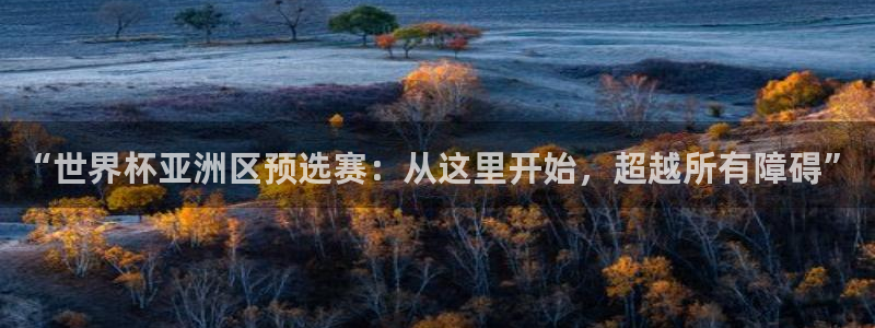 2026葡萄牙杯赛程表：“世界杯亚洲区预选赛：从这里开始，超越所有障碍”