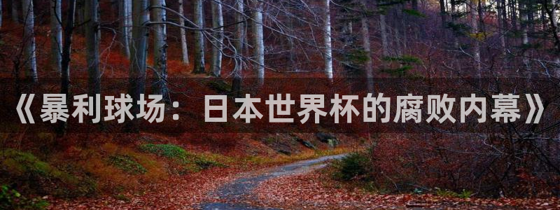 预选赛世界杯：《暴利球场：日本世界杯的腐败内幕》