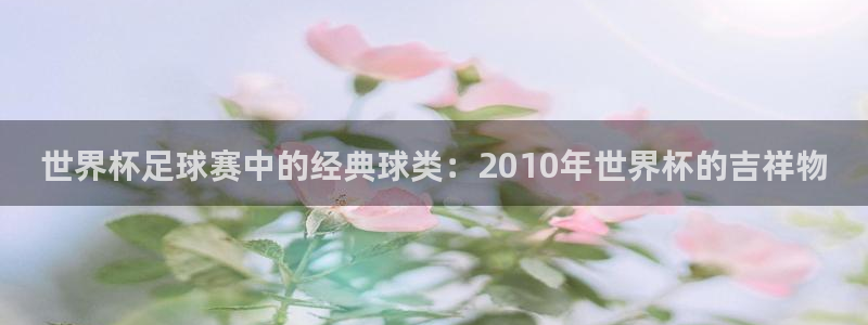 女足世界杯直播在线观看免费高清：世界杯足球赛中的经典球类：2010年世界杯的吉祥物