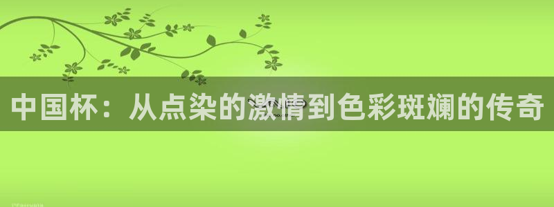 世界杯直播：中国杯：从点染的激情到色彩斑斓的传奇