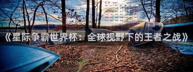 2026世界杯倒计时：《星际争霸世界杯：全球视野下的王者之战》