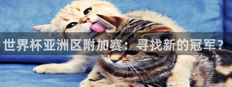 2006年世界杯冠军：世界杯亚洲区附加赛：寻找新的冠军？