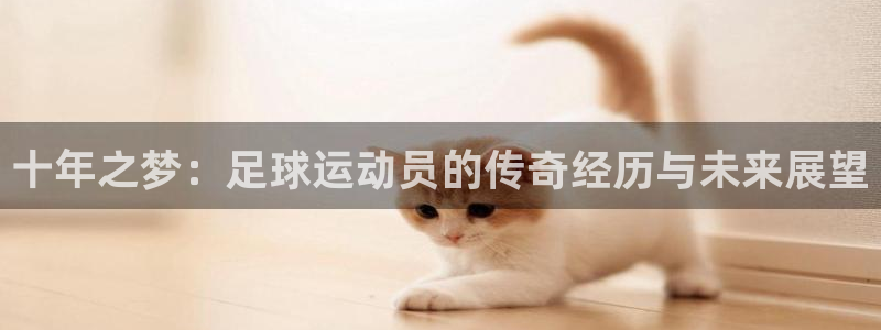 世界杯2026预选赛：十年之梦：足球运动员的传奇经历与未来展望