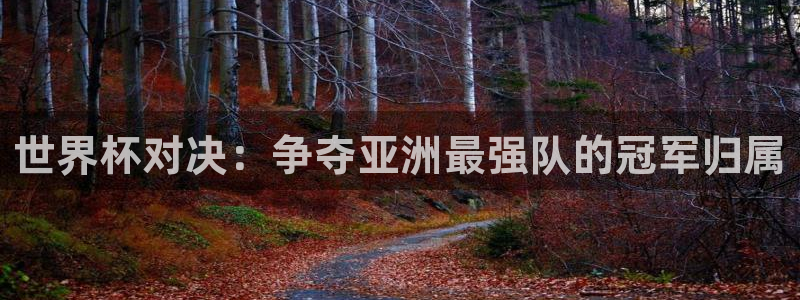 2026世界杯赛制：世界杯对决：争夺亚洲最强队的冠军归属