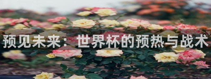 世界杯今日赛程直播：预见未来：世界杯的预热与战术