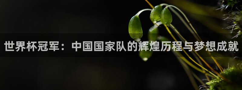 世界杯亚洲区预选赛积分榜:世界杯冠军:中国国家队的辉煌历程与梦想成就