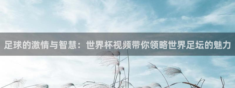世界杯视频：足球的激情与智慧：世界杯视频带你领略世界足坛的魅力