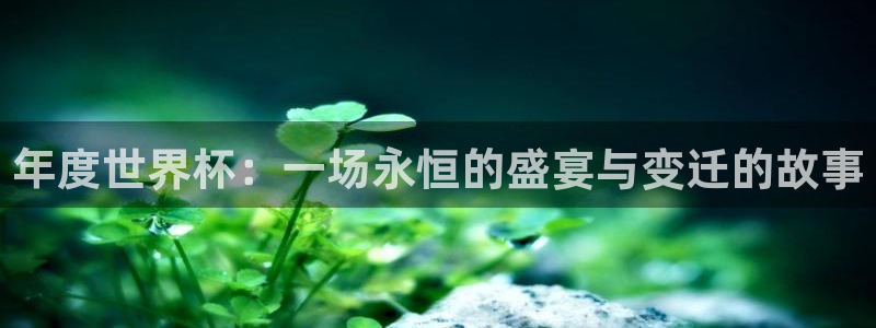 世俱杯直播：年度世界杯：一场永恒的盛宴与变迁的故事
