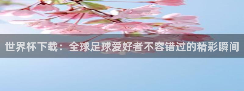 今年世界杯：世界杯下载：全球足球爱好者不容错过的精彩瞬间
