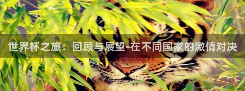 2026世界杯亚洲预选赛：世界杯之旅：回顾与展望-在不同国家的激情对决
